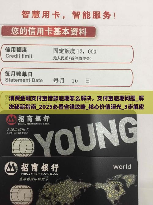 消费金融支付宝借款逾期怎么解决