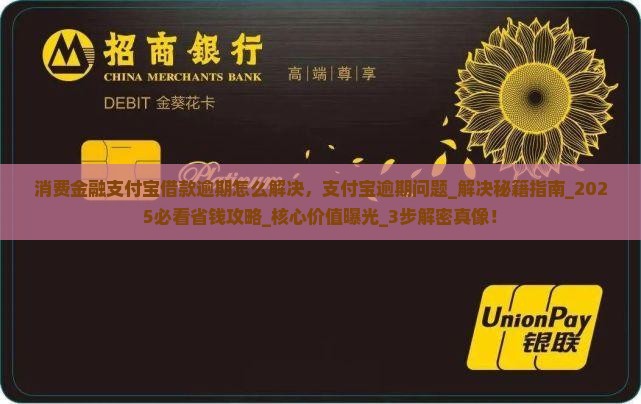 消费金融支付宝借款逾期怎么解决