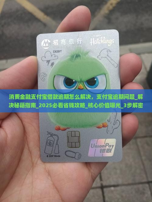 消费金融支付宝借款逾期怎么解决