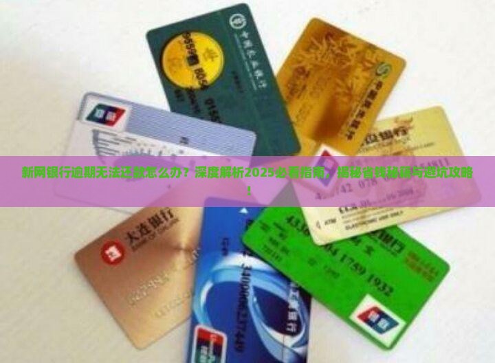 新网银行逾期无法还款如何解决