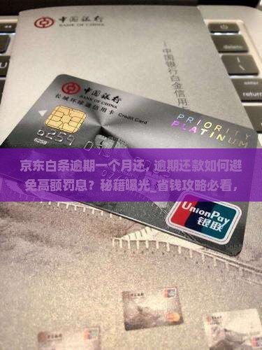 京东白条逾期一个月还