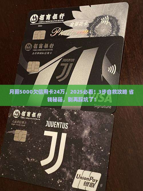 欠信用卡24万应该怎么办