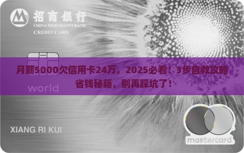 欠信用卡24万应该怎么办