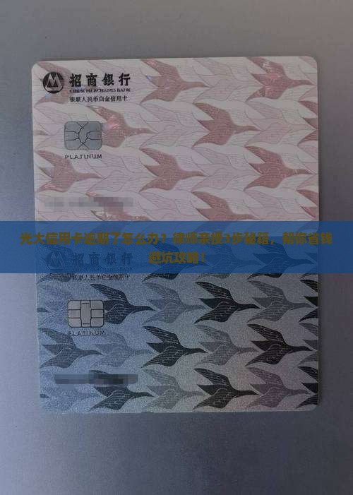 光大信用卡逾期律师如何处理逾期案件