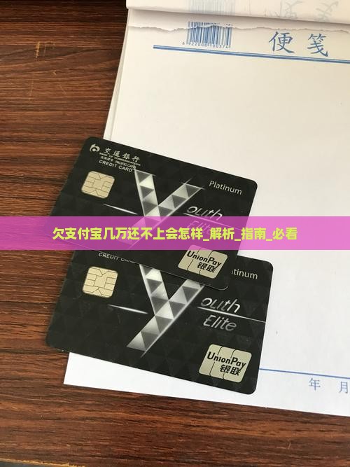欠支付宝几万还不上会怎样