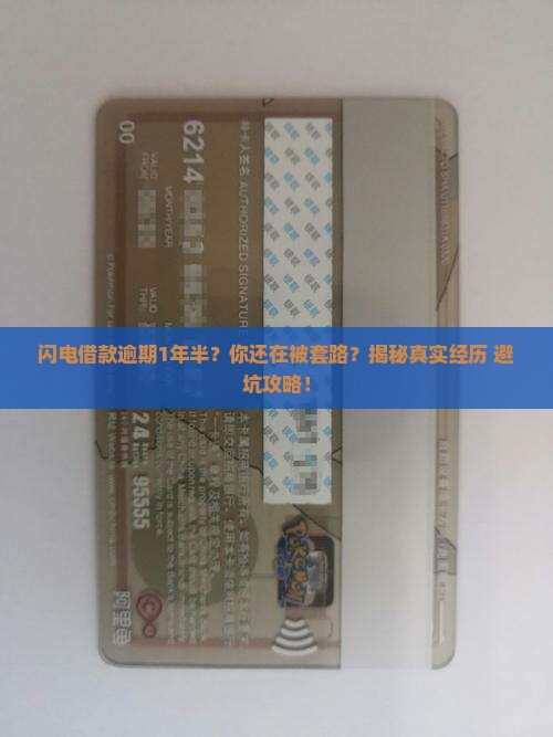 闪电借款逾期1年半
