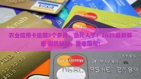 农业信用卡逾期3个多月怎么办