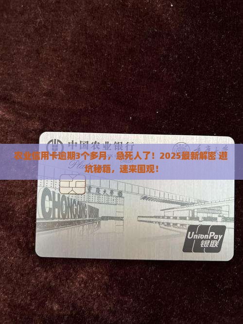 农业信用卡逾期3个多月怎么办
