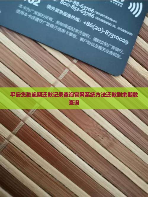 平安贷款逾期还款记录查询