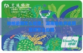 湖南拍拍贷逾期应该怎么处理