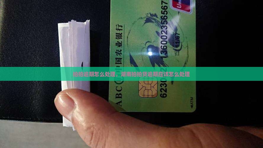湖南拍拍贷逾期应该怎么处理