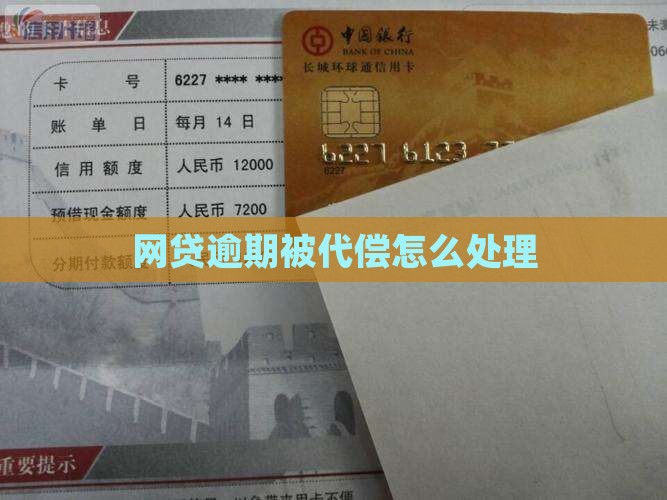 网贷逾期被代偿怎么处理