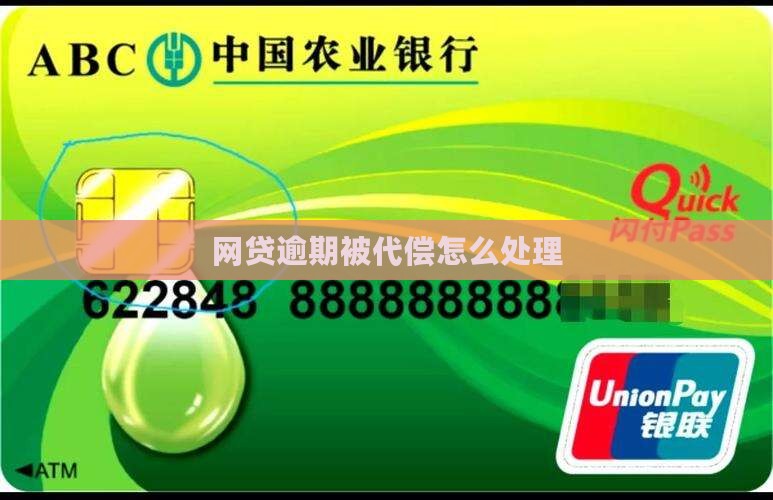 网贷逾期被代偿怎么处理