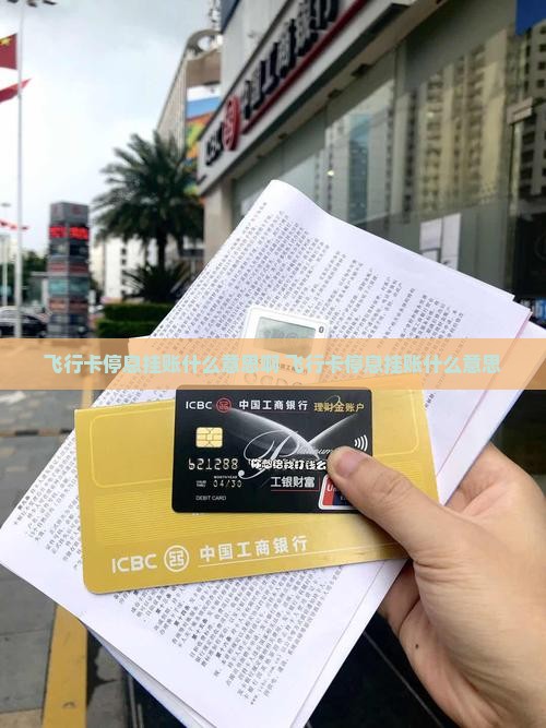 飞行卡停息挂账什么意思