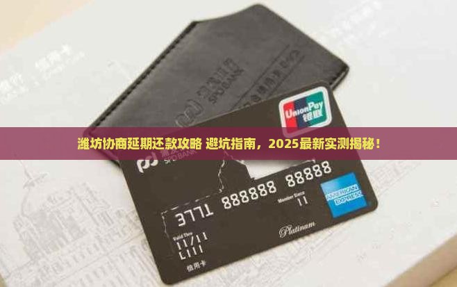 潍坊协商延期还款流程详解