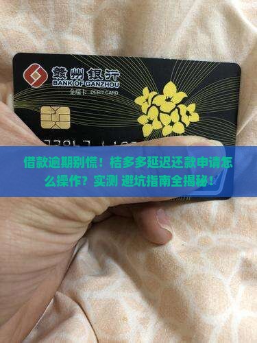 桔多多借款延迟还款申请流程详解