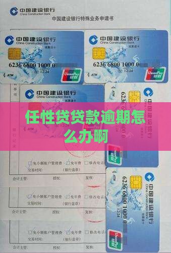 任性贷贷款逾期怎么办啊