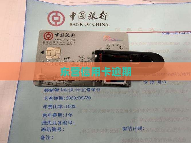 东营信用卡逾期