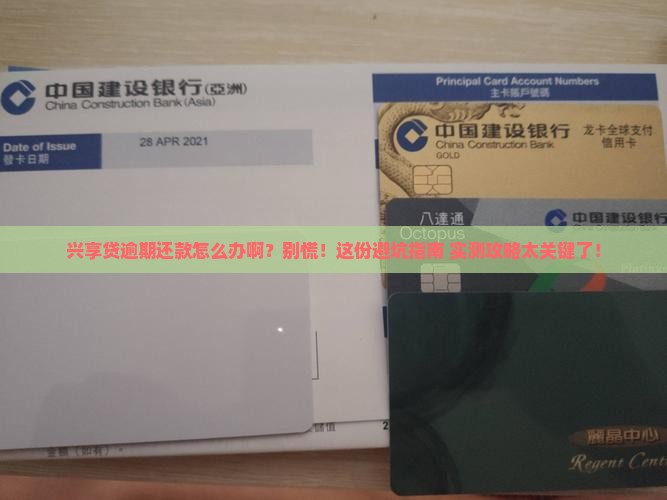 兴享贷逾期还款怎么办啊