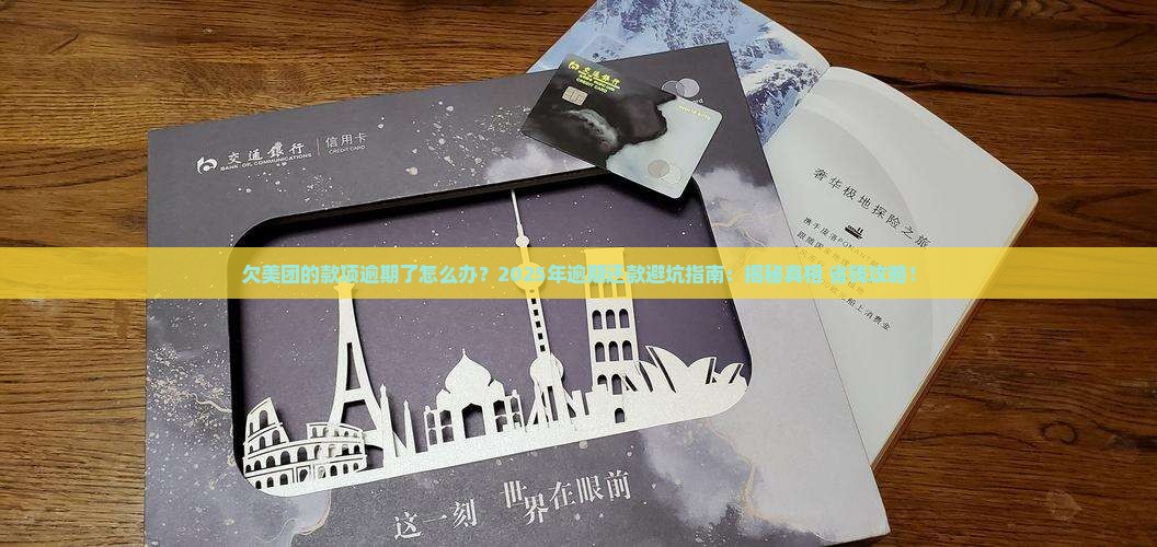 欠美团的款项逾期还款流程及注意事项
