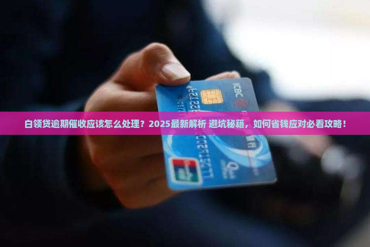 白领贷逾期催收应该怎么处理