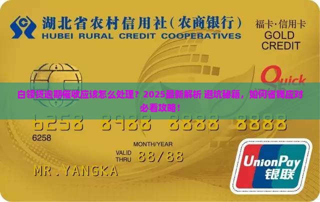 白领贷逾期催收应该怎么处理