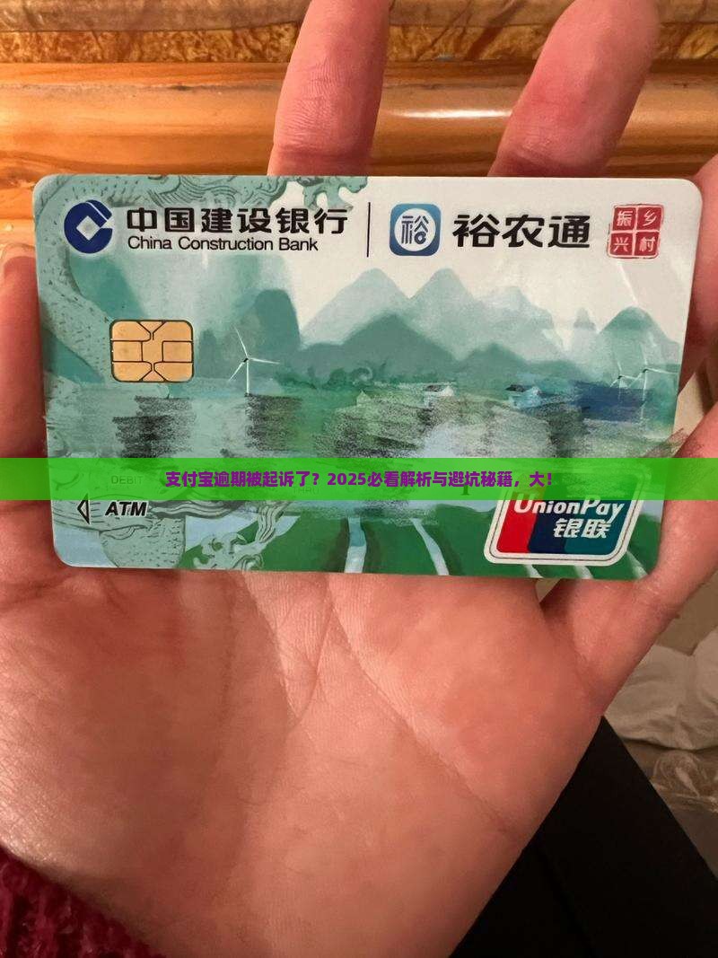 支付宝逾期有被起诉过的那