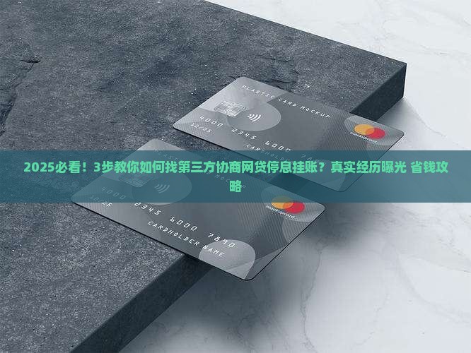 找第三方协商网贷停息挂账详细流程