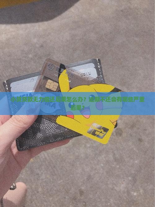 小贷贷款无力偿还后果怎么办