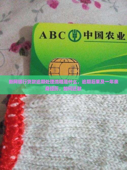 新网银行贷款逾期处理流程