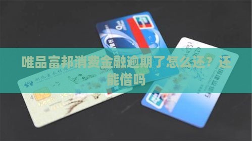 富邦消费金融没钱还了还能借吗