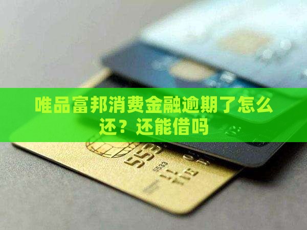 富邦消费金融没钱还了还能借吗