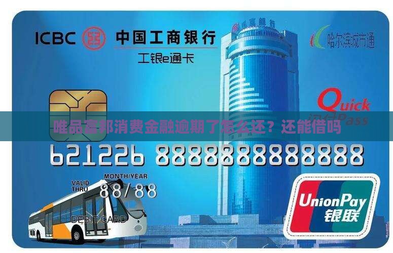 富邦消费金融没钱还了还能借吗