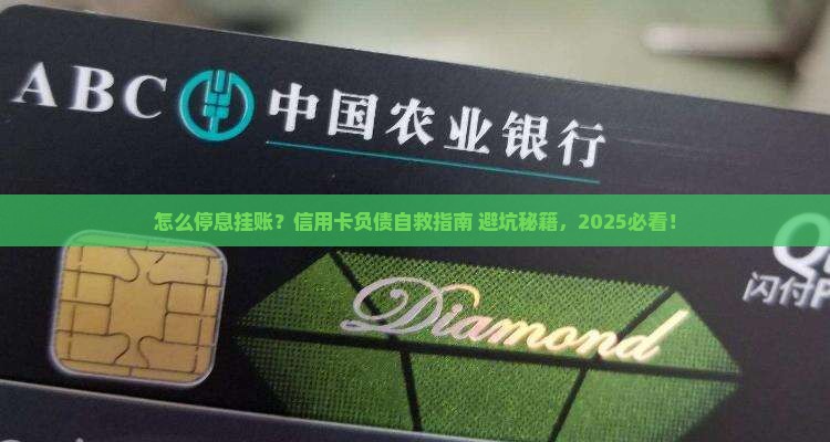怎么把信用卡停息挂账呢