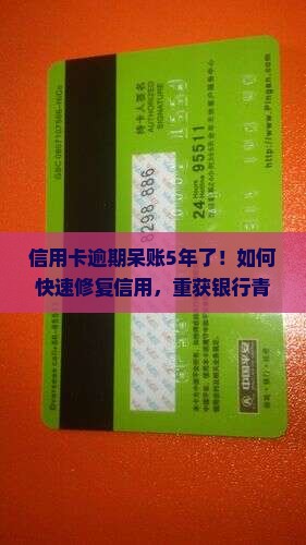信用卡逾期呆账5年了