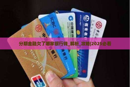 分期金融欠了哪家银行钱