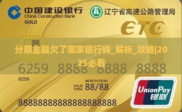 分期金融欠了哪家银行钱