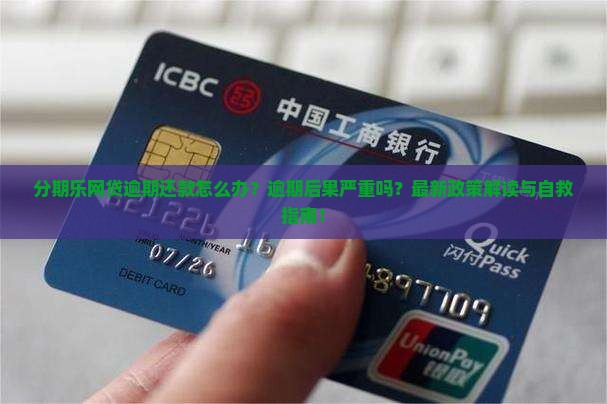 分期乐网贷逾期还款怎么办