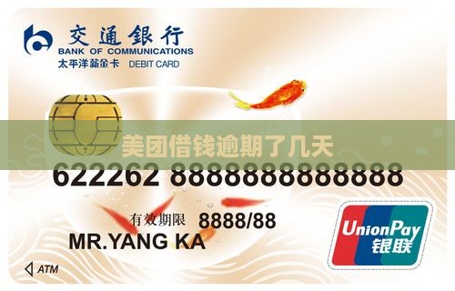 美团借钱逾期了几天