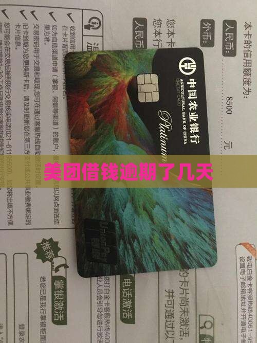 美团借钱逾期了几天