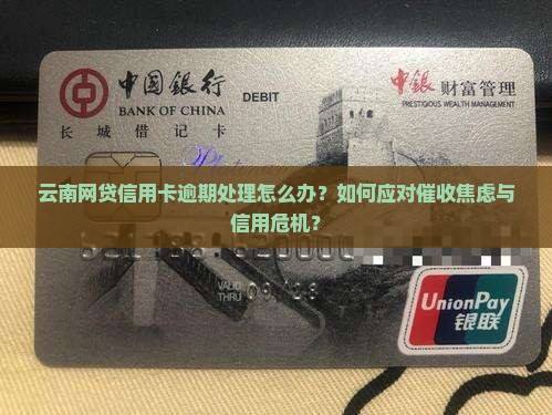 云南网贷信用卡逾期处理怎么办