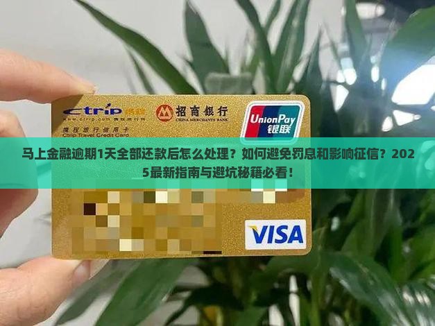 马上金融逾期1天全部还款