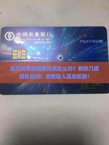 海尔消费逾期费用高怎么办