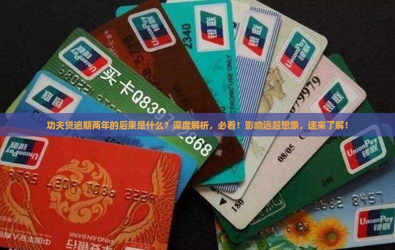 功夫贷逾期两年的后果是什么