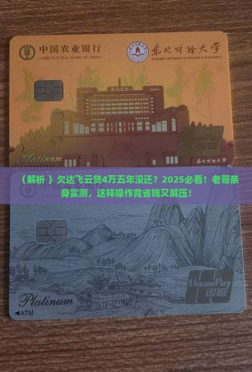 欠达飞云贷4万元五年没还