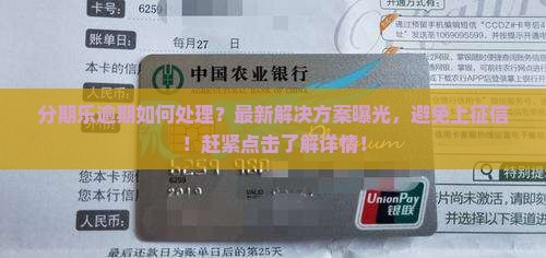 分期乐招联逾期如何处理