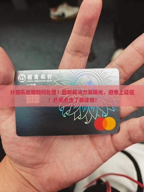 分期乐招联逾期如何处理