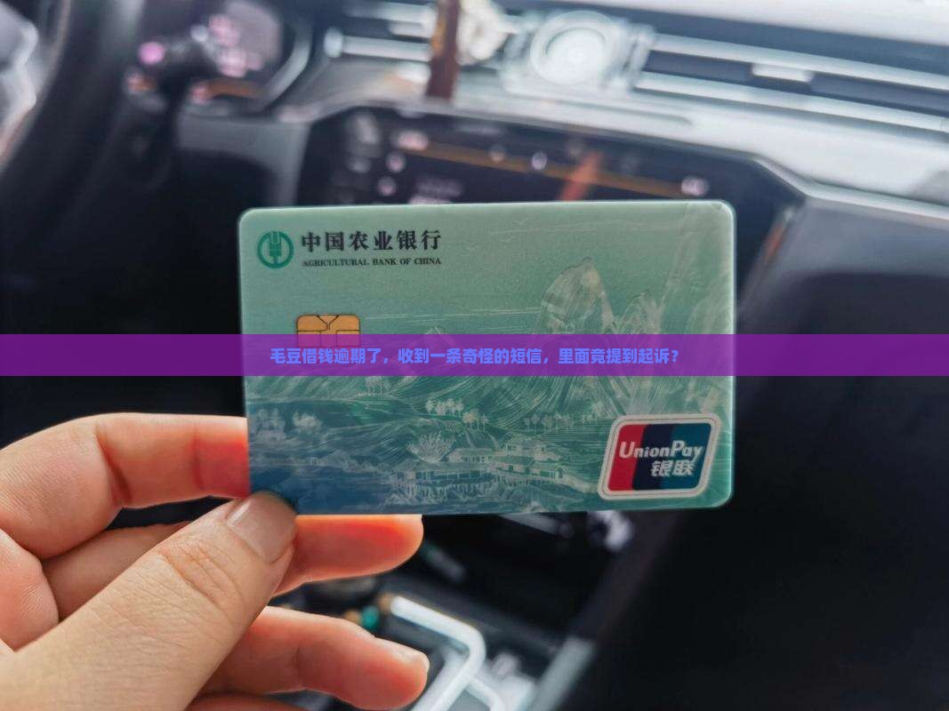 毛豆欠款逾期发短信起诉