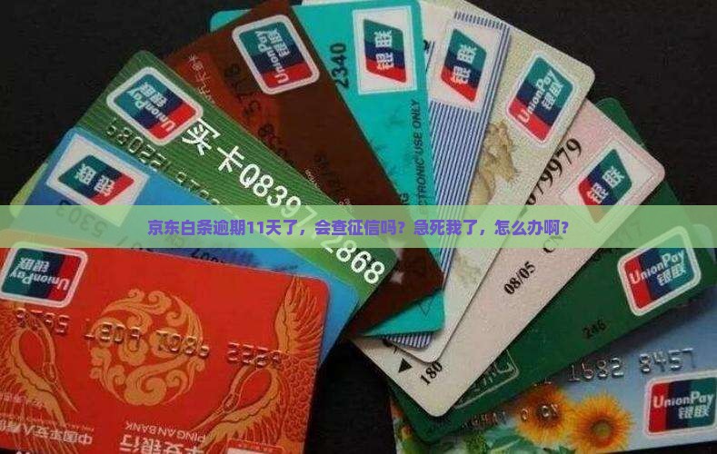 京东白条逾期11天会上征信吗