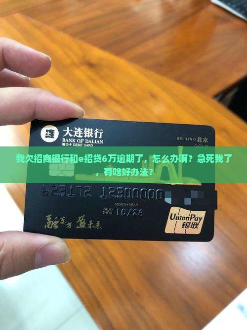 招商银行和e招贷逾期6万如何处理
